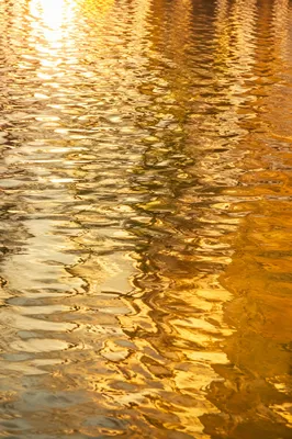 Golden Reflections on Flowing Water