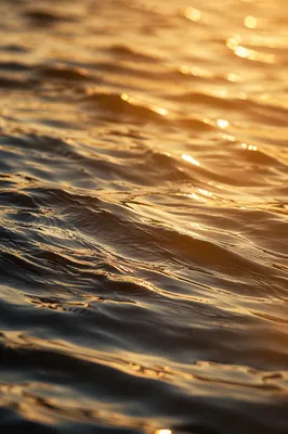 Golden Hour Flowing Water Reflection Background