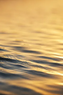 Golden Hour Flowing Water Reflection Background