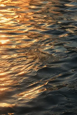 Golden Hour River Ripple Background