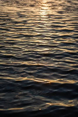 Golden Light on Flowing Water Surface
