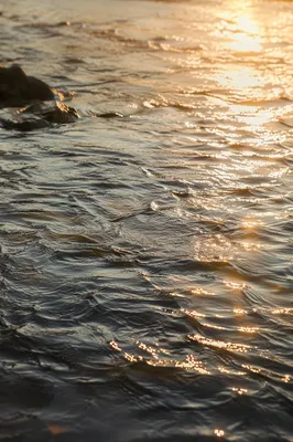 Golden Dawn Reflections on Flowing River