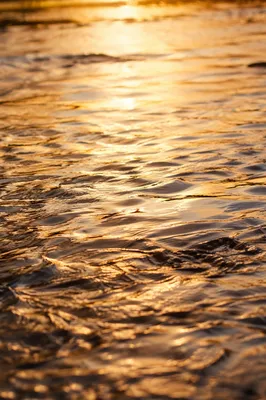 Golden River Ripples in Warm Light