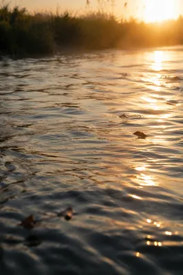 Golden Sunrise Ripples on Peaceful River