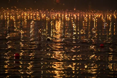 Golden Reflections on Flowing Night Water