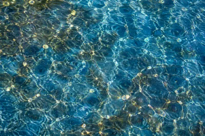 Golden Light Ripples on Turquoise Water