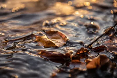 Golden Hour Flowing Water Reflection