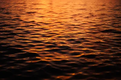 Golden Dusk Ripples on Flowing Water