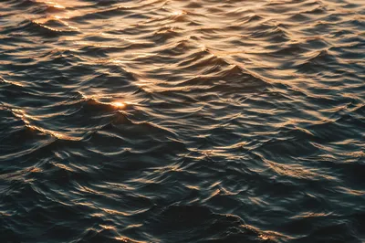 Golden Reflections on Flowing Water