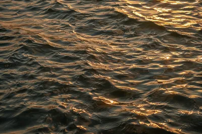 Golden Light on Flowing Water Ripples