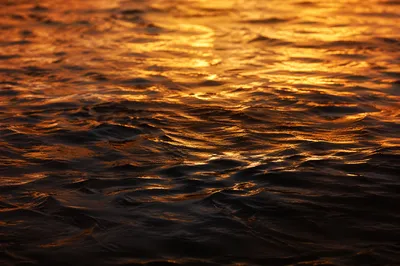 Golden Reflections on Flowing Water