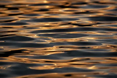 Golden Reflections on Flowing Water Surface