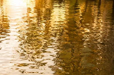 Golden Reflections on Flowing Water