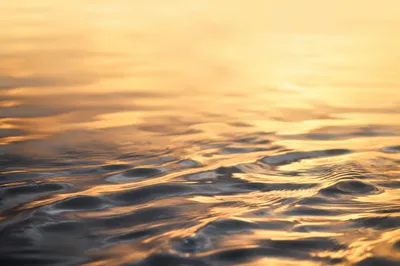 Golden Hour Flowing Water Reflection Background