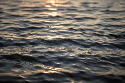 Golden Light on Flowing Water Surface