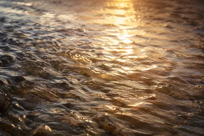 Golden Dawn Reflections on Flowing Water