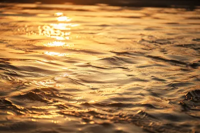 Golden Light on Flowing Water