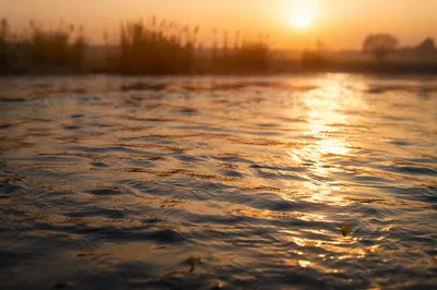 Golden Sunrise Reflections on Flowing River