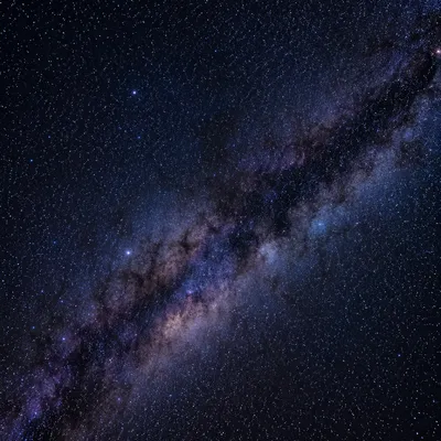 Dense Star Field with Galactic Dust