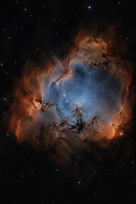 Dark Galaxy Nebula with Copper Starfields