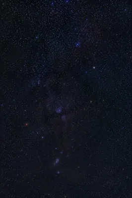 Dark Galaxy Stars and Subtle Nebula