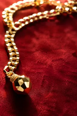 Elegant Gold Chain on Crimson Velvet