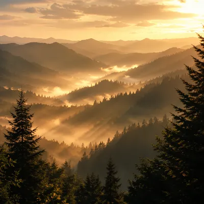 Golden Sunrise Rays Over Misty Mountain Ridges