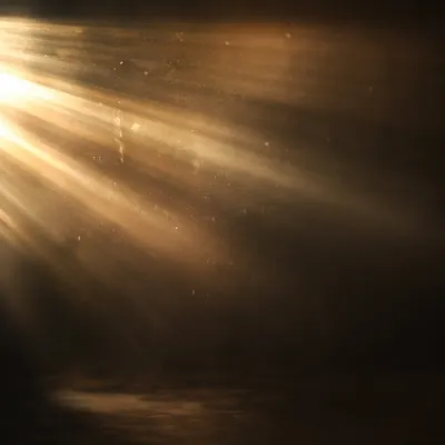 Golden Light Rays in Morning Mist
