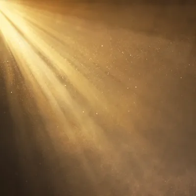Golden Light Rays in Morning Mist