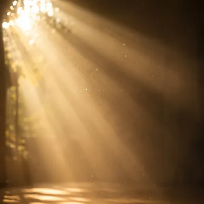 Golden Light Rays in Morning Mist