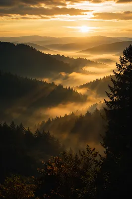 Golden Sunrise Rays Over Misty Mountain Ridges