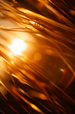 Radiant Golden Light Rays Spiritual Background