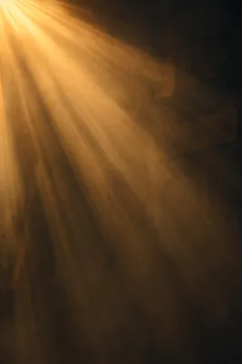 Golden Light Rays in Morning Mist