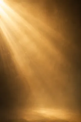 Golden Light Rays in Morning Mist