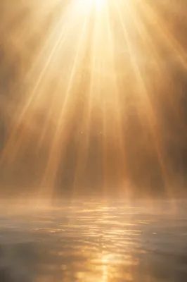 Golden Light Rays in Morning Mist