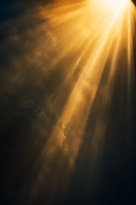 Golden Light Rays in Reverent Darkness