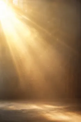 Golden Morning Light Rays in Mist