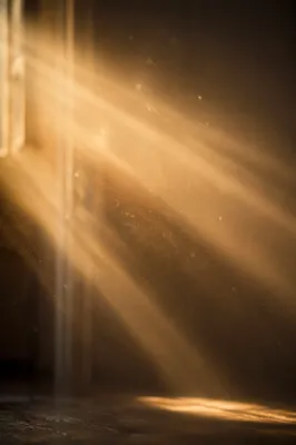 Golden Light Rays in Morning Mist