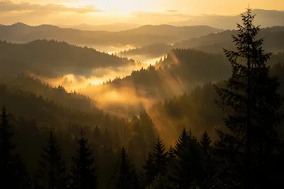 Golden Sunrise Rays Over Misty Mountain Ridges