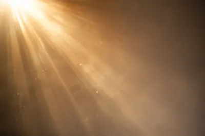 Golden Light Rays in Morning Mist
