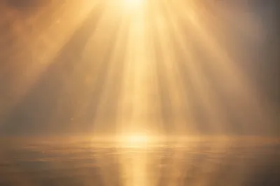 Golden Light Rays in Morning Mist