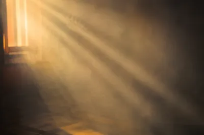 Golden Morning Light Rays in Mist