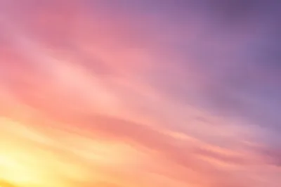 Pastel Purple Pink Sunrise Gradient Background