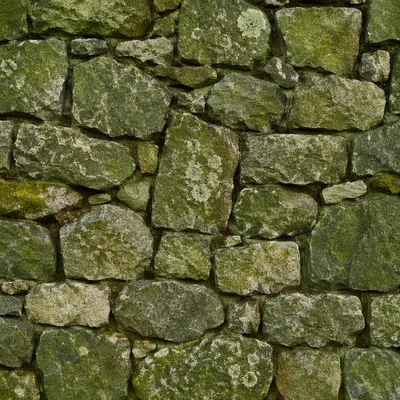Fresh Green Moss Stone Texture Background