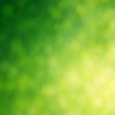 Fresh Green Foliage Blur Background