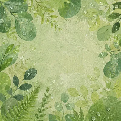 Fresh Green Leaf Wall Background