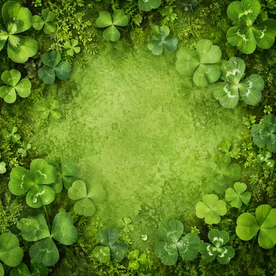 Fresh Moss and Clover Green Background
