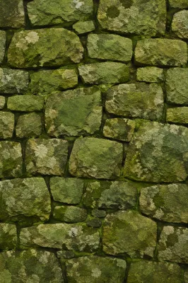 Fresh Green Moss Stone Texture Background