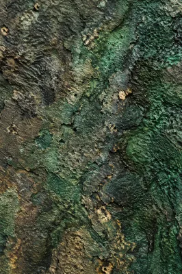 Fresh Green Weathered Stone Texture Background
