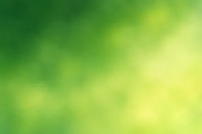 Fresh Green Foliage Blur Background